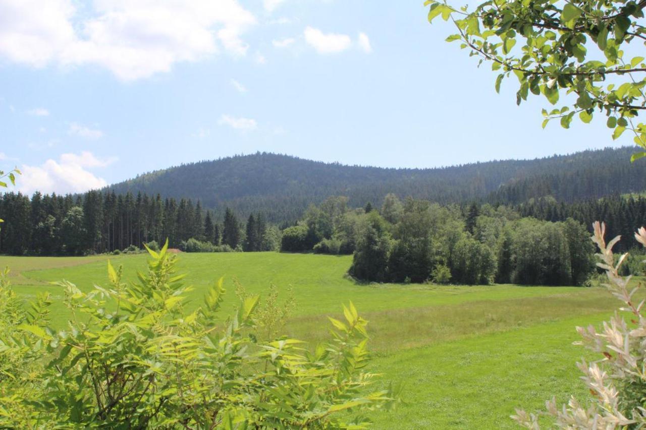 Ferienwohnungen Holzferienhaeuser Leithenwald Zwiesel Exterior foto