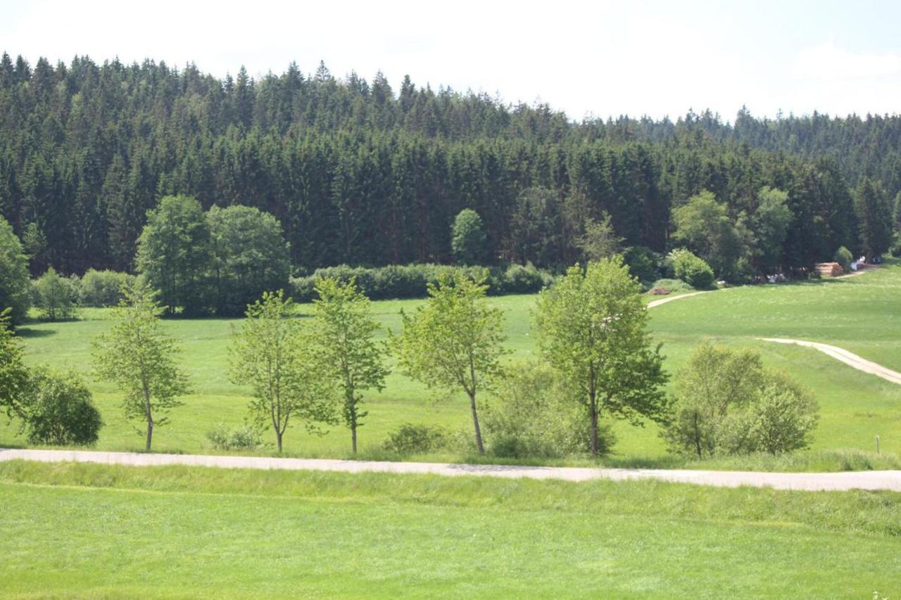 Ferienwohnungen Holzferienhaeuser Leithenwald Zwiesel Exterior foto