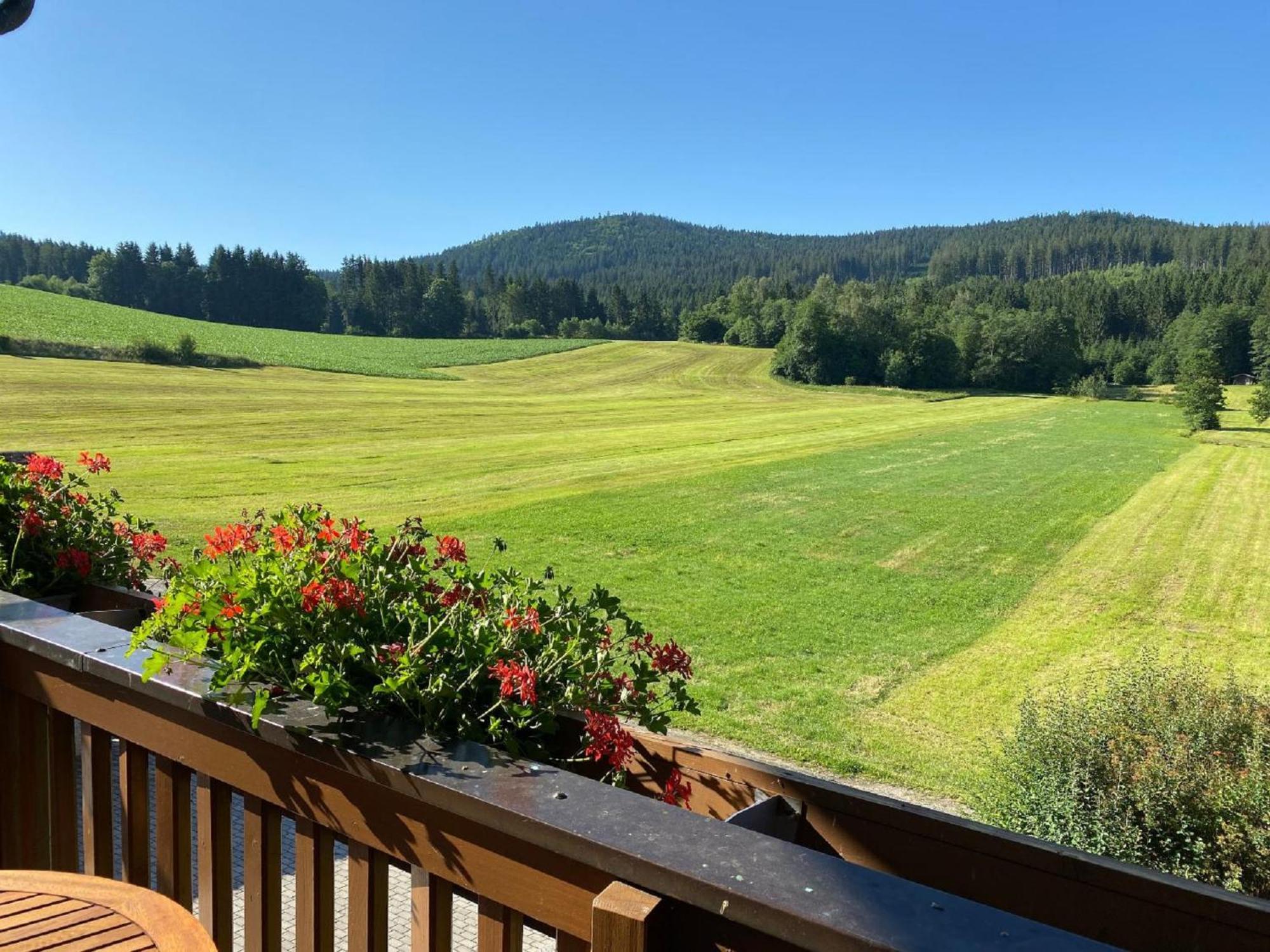 Ferienwohnungen Holzferienhaeuser Leithenwald Zwiesel Exterior foto