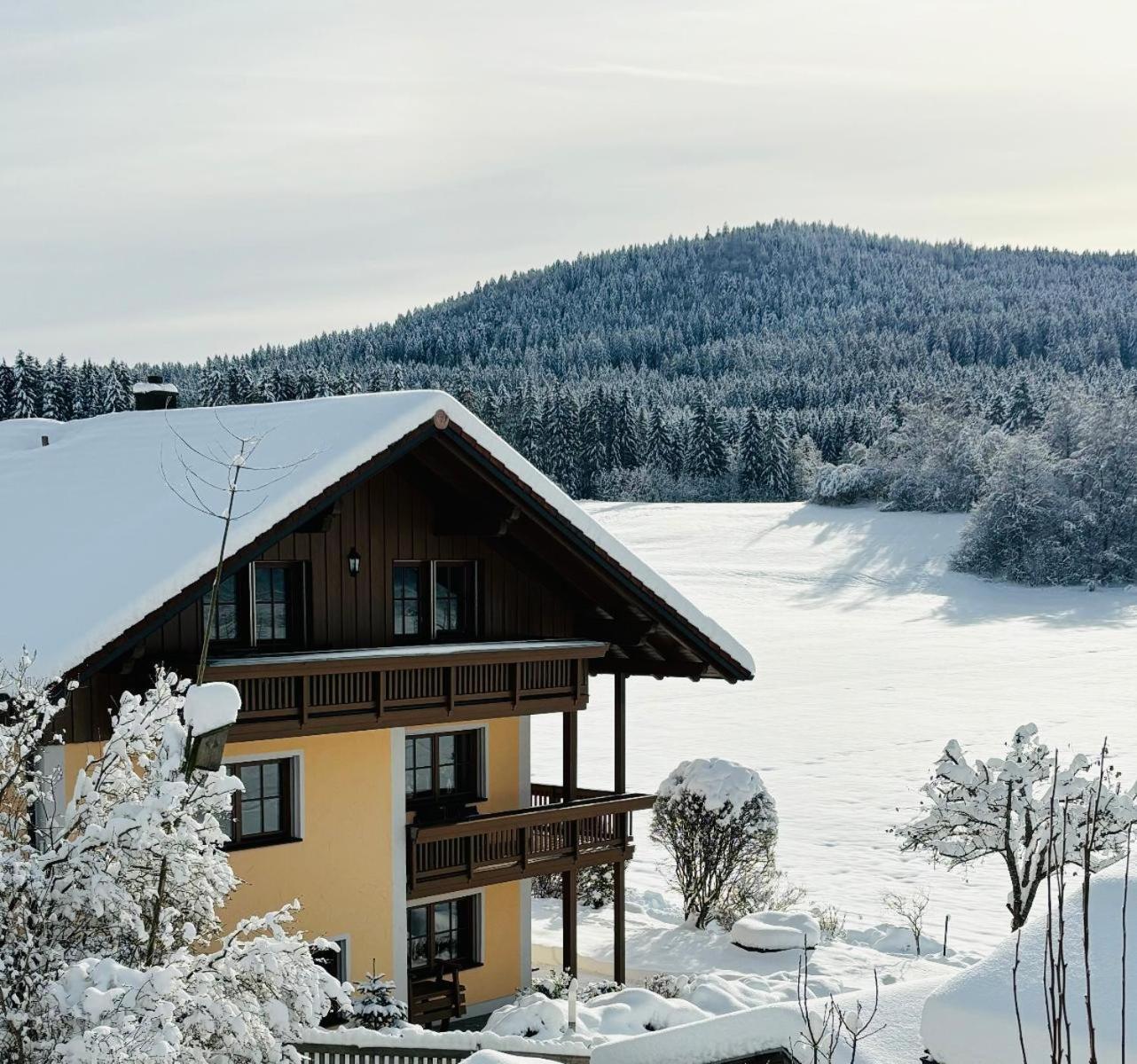 Ferienwohnungen Holzferienhaeuser Leithenwald Zwiesel Exterior foto