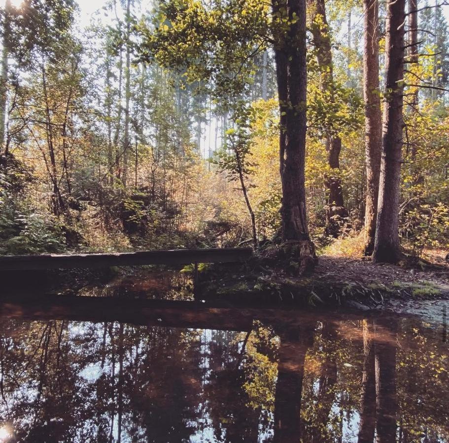 Ferienwohnungen Holzferienhaeuser Leithenwald Zwiesel Exterior foto