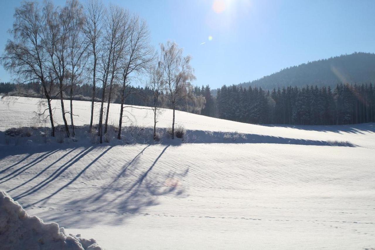 Ferienwohnungen Holzferienhaeuser Leithenwald Zwiesel Exterior foto