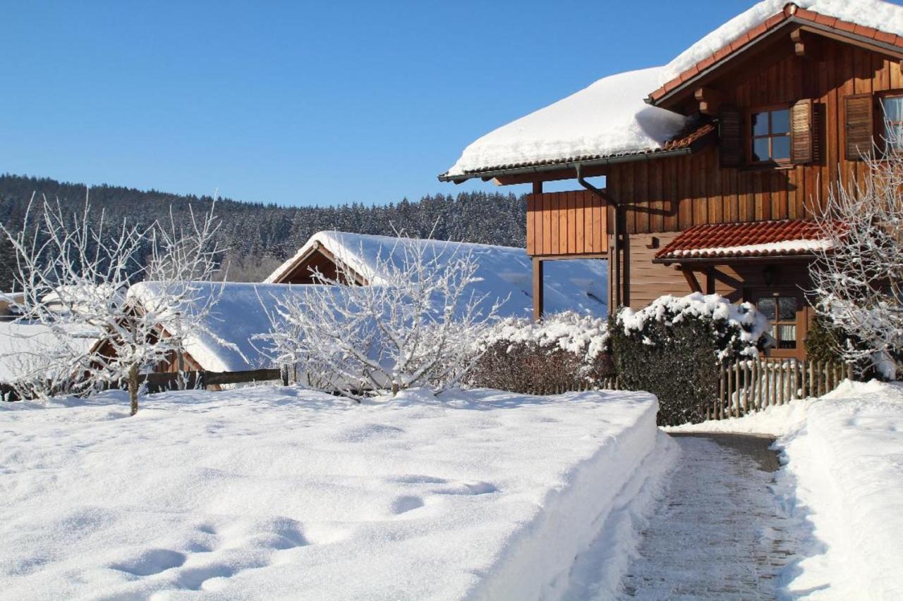 Ferienwohnungen Holzferienhaeuser Leithenwald Zwiesel Exterior foto