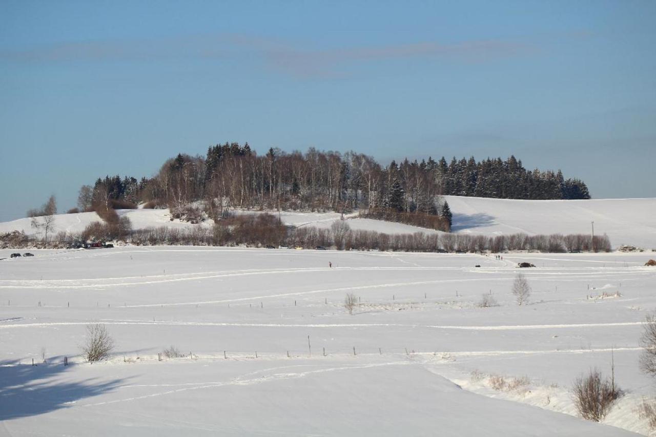 Ferienwohnungen Holzferienhaeuser Leithenwald Zwiesel Exterior foto