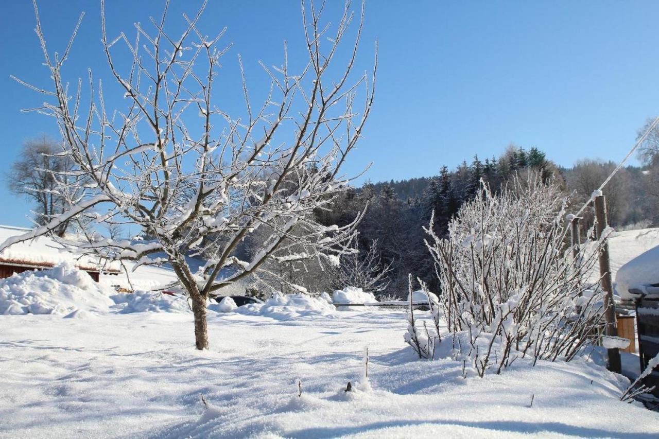 Ferienwohnungen Holzferienhaeuser Leithenwald Zwiesel Exterior foto